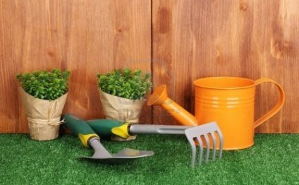 Инструменты для огорода