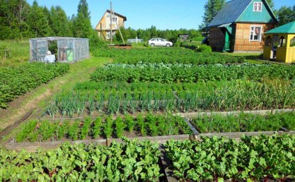 Как сделать грядки на огороде