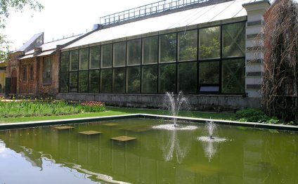 Ботанический Сад Мгу Магазин Саженцев