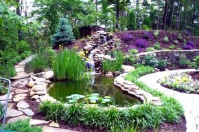 дизайн сада