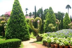 дизайн сада своими руками