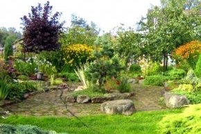 дизайн сада своими руками фото