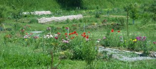 Природный сад и огород в мае