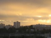 Сад и Огород на Алехина Каталог Товаров