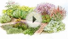 Грядки рисунки идеи для дачи сада и огорода от дачного