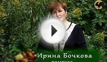 Сад и огород-100 Мята.