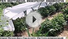 Сборный переносной Мини Парник ПДМ для рассады и растений
