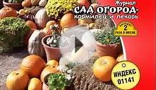 Журнал "Сад,огород - кормилец и лекарь" + "Спецвыпуск "Сад