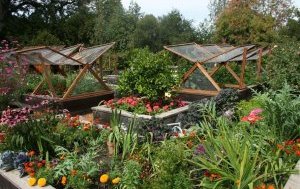 Залог цветущего сада и плодоносного огорода - качественное освещение